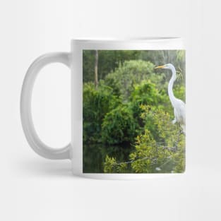 The Kings Great Egret of  Gatorland Mug